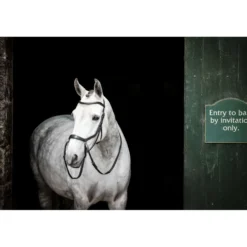 Horseware Micklem Bitless Bridle Zwart