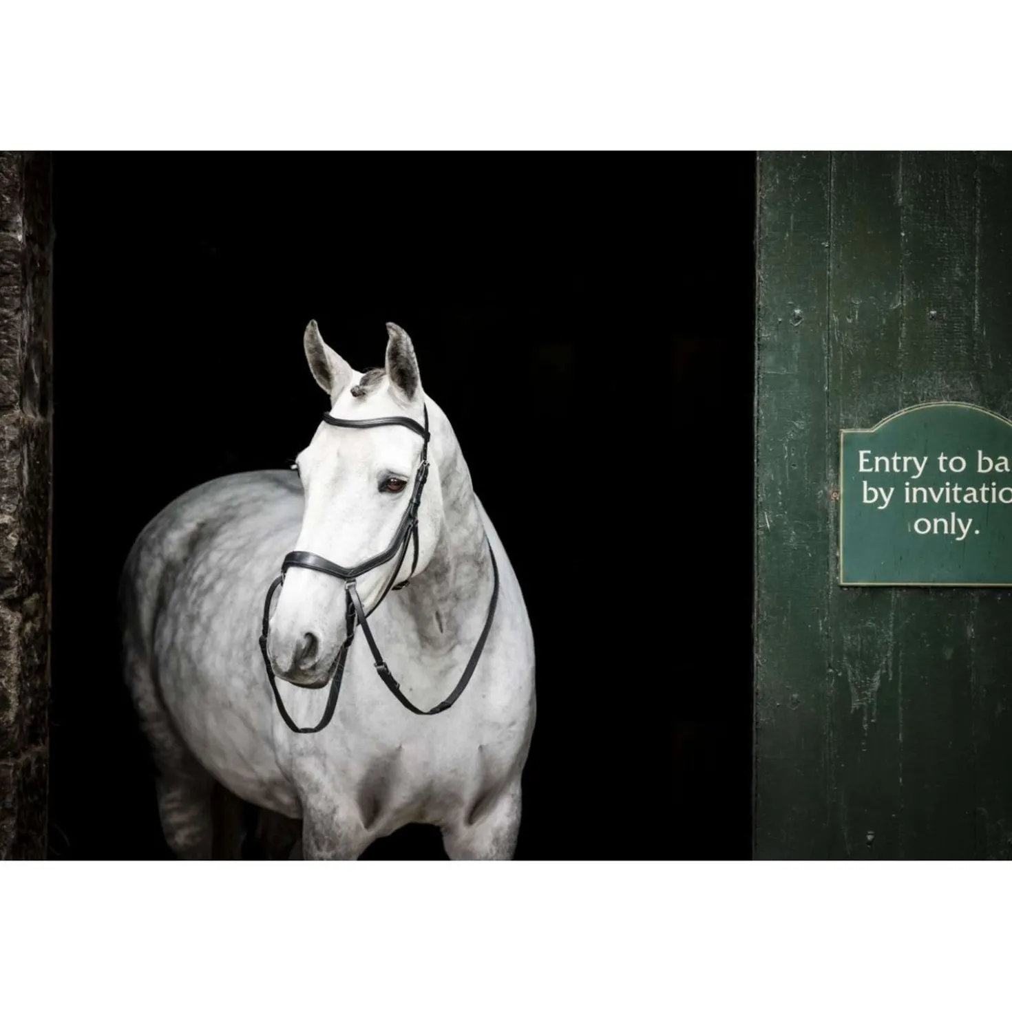 Horseware Micklem Bitless Bridle Zwart