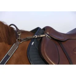 Horseware Micklem Borsttuig met Martingaal Bruin