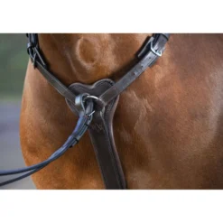 Horseware Micklem Borsttuig met Martingaal Bruin