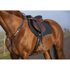 Horseware Micklem Borsttuig met Martingaal Bruin