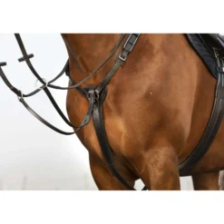 Horseware Micklem Borsttuig met Martingaal Zwart