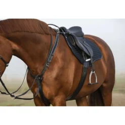 Horseware Micklem Borsttuig met Martingaal Zwart
