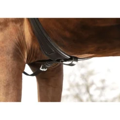 Horseware Micklem Borsttuig met Martingaal Zwart