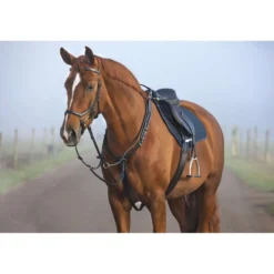 Horseware Micklem Borsttuig met Martingaal Zwart