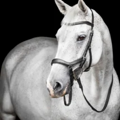 Horseware Micklem Competition Bridle Zwart