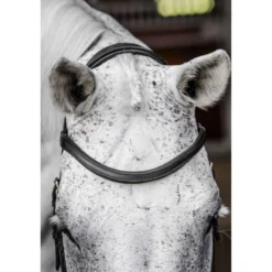 Horseware Micklem Competition Bridle Zwart