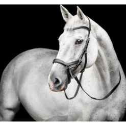 Horseware Micklem Competition Bridle Zwart