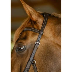 Horseware Micklem Competition Bridle Dark Havana