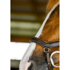 Horseware Micklem Competition Bridle Dark Havana