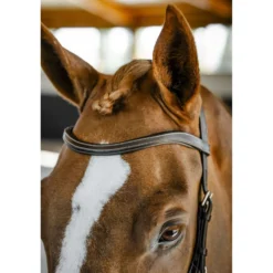 Horseware Micklem Competition Bridle Dark Havana