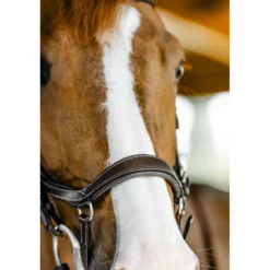 Horseware Micklem Competition Bridle Dark Havana