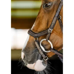 Horseware Micklem Competition Bridle Dark Havana
