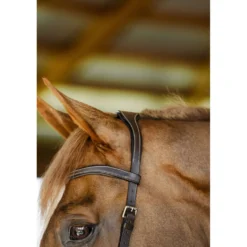 Horseware Micklem Competition Bridle Dark Havana