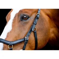Horseware Micklem Competition Bridle New Zwart