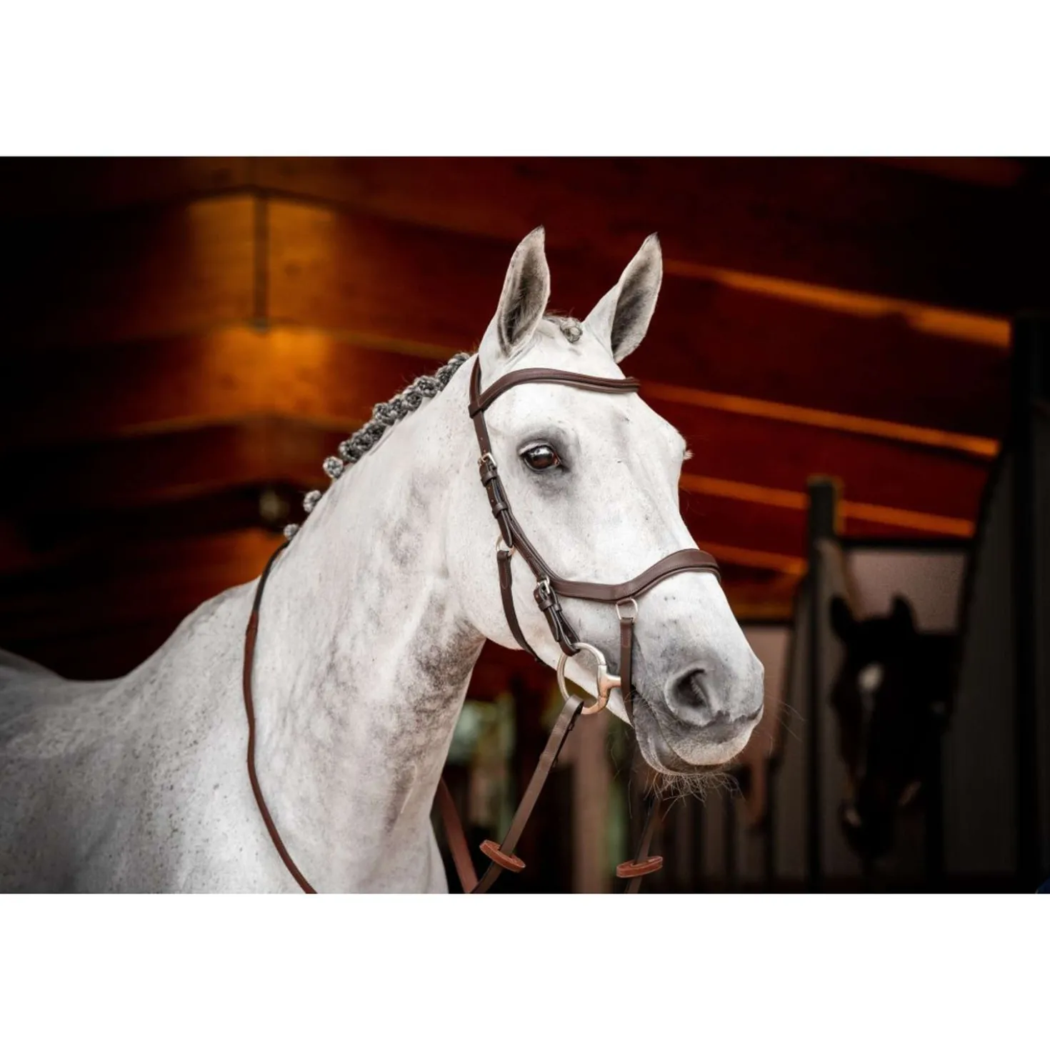 Horseware Micklem Competition Bridle New Dark Havana