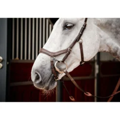 Horseware Micklem Competition Bridle New Dark Havana