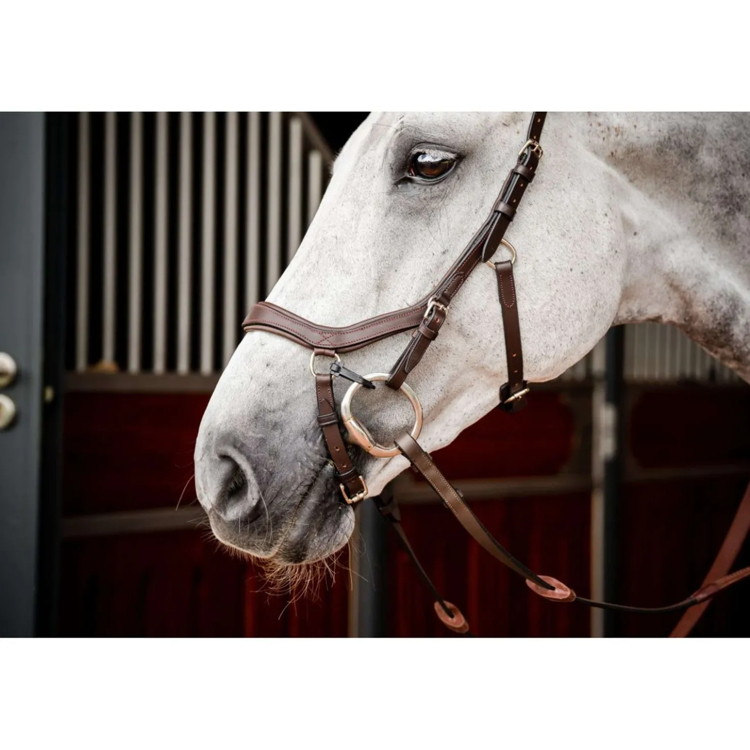 Horseware Micklem Competition Bridle New Dark Havana