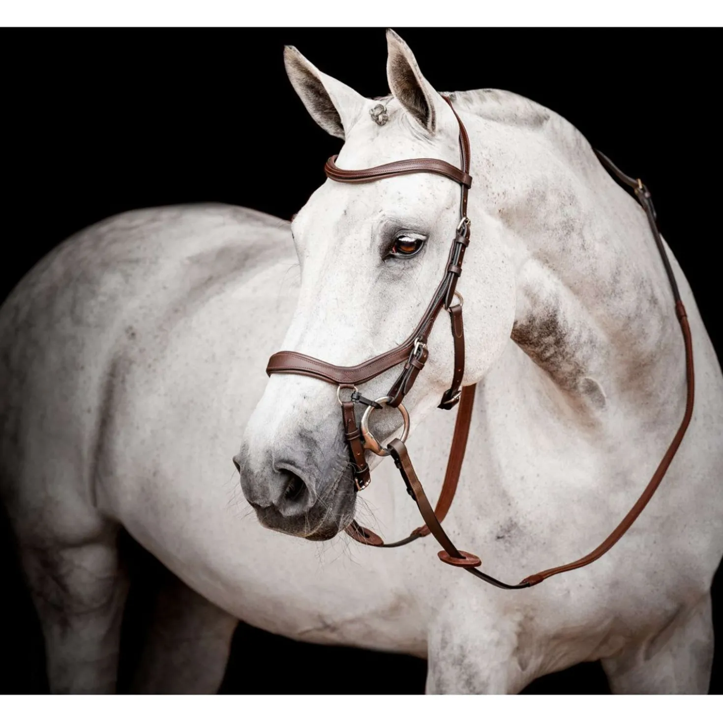 Horseware Micklem Competition Bridle New Dark Havana