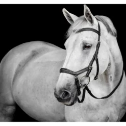 Horseware Micklem Deluxe Competition Bridle Zwart