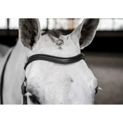Horseware Micklem Deluxe Competition Bridle Zwart