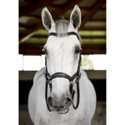 Horseware Micklem Deluxe Competition Bridle Zwart