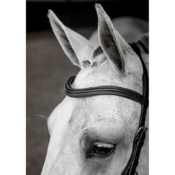 Horseware Micklem Deluxe Competition Bridle Zwart