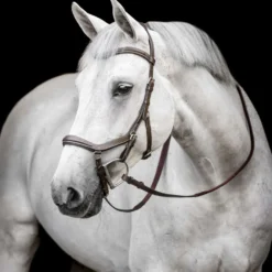 Horseware Micklem Deluxe Competition Bridle Dark Havana