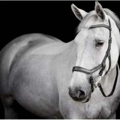 Horseware Micklem Diamante Competition Bridle Zwart