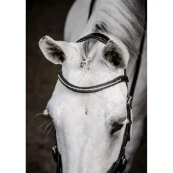 Horseware Micklem Diamante Competition Bridle Zwart