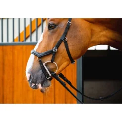 Horseware Micklem Diamond Competition Bridle New Zwart