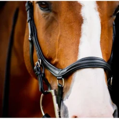 Horseware Micklem Diamond Competition Bridle New Zwart
