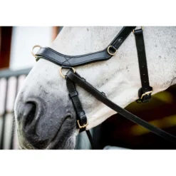 Horseware Micklem Multi Bridle New Zwart