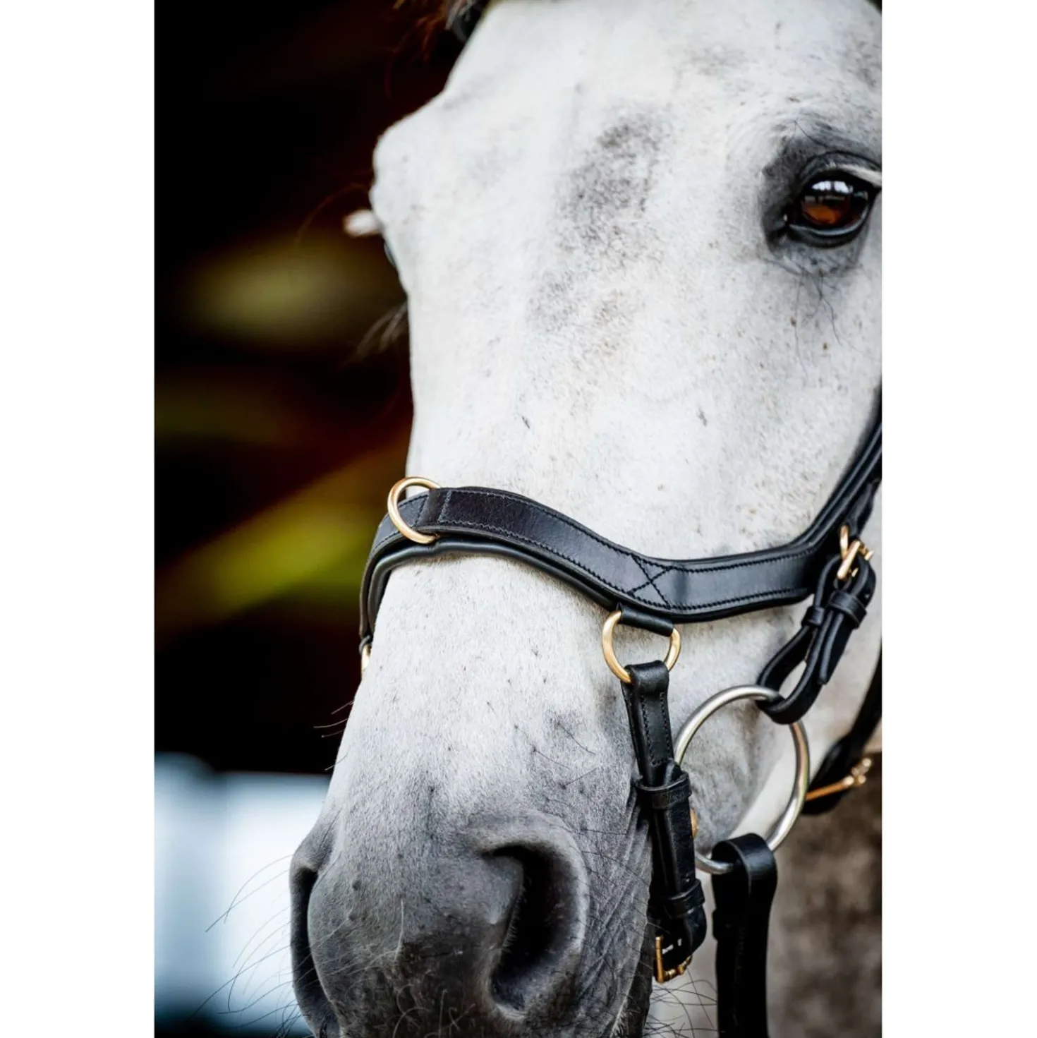 Horseware Micklem Multi Bridle New Zwart