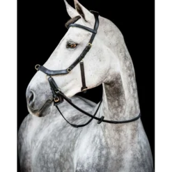 Horseware Micklem Multi Bridle New Zwart