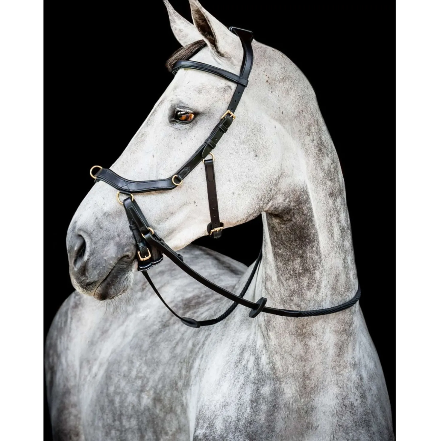 Horseware Micklem Multi Bridle New Zwart