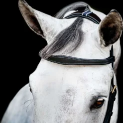 Horseware Micklem Multi Bridle New Zwart