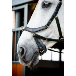 Horseware Micklem Multi Bridle New Zwart