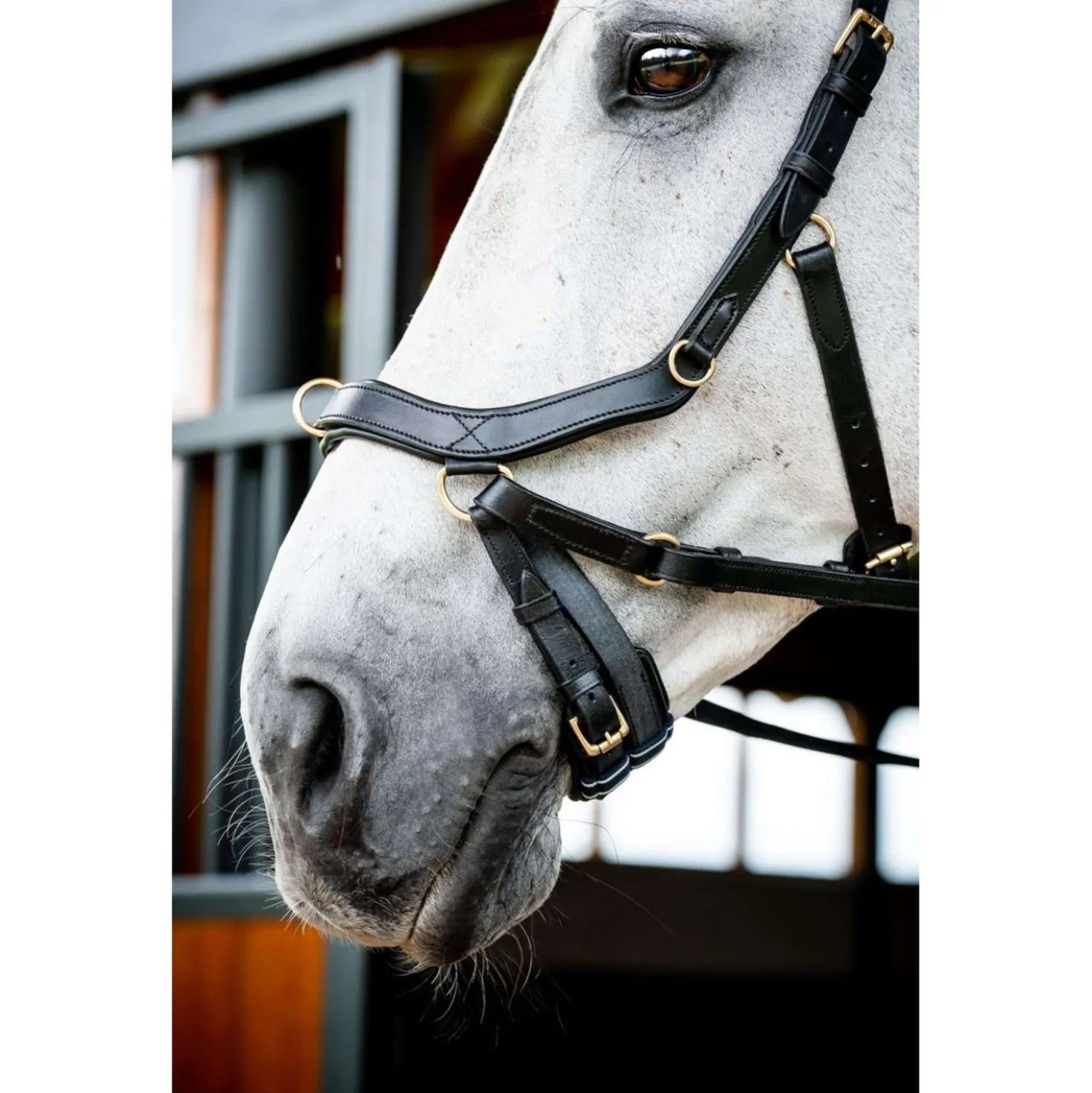 Horseware Micklem Multi Bridle New Zwart
