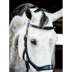 Horseware Micklem Multi Bridle New Zwart