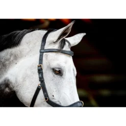 Horseware Micklem Multi Bridle New Zwart