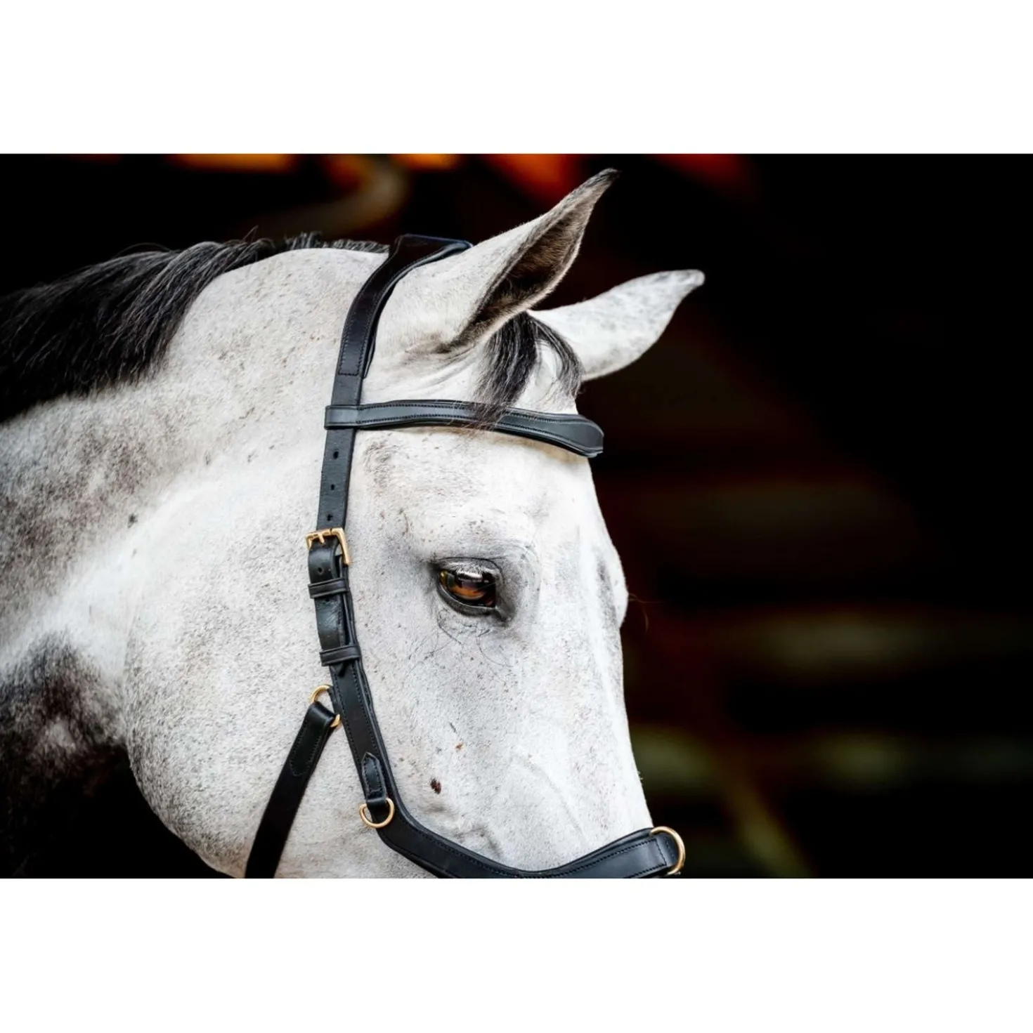 Horseware Micklem Multi Bridle New Zwart