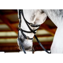 Horseware Micklem Multi Bridle New Zwart