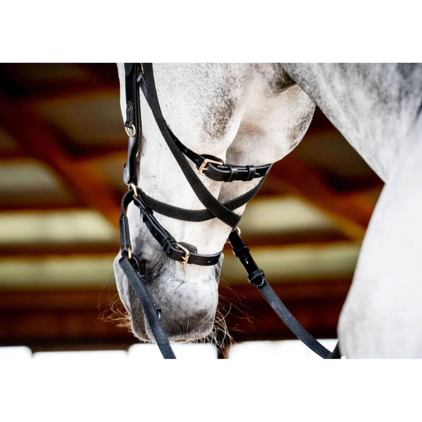 Horseware Micklem Multi Bridle New Zwart