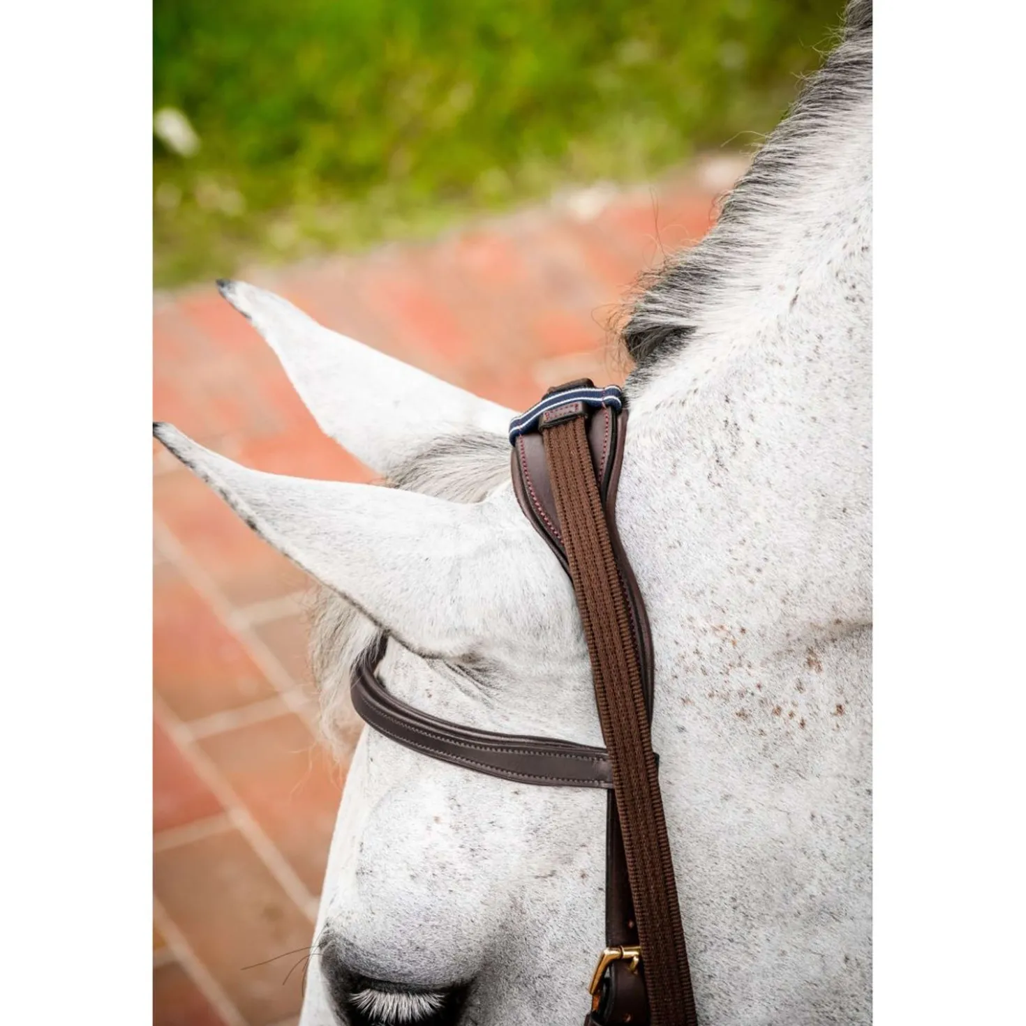 Horseware Micklem Multi Bridle New Dark Havana
