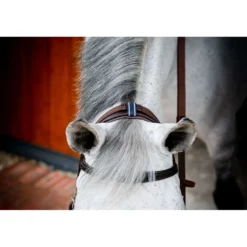 Horseware Micklem Multi Bridle New Dark Havana