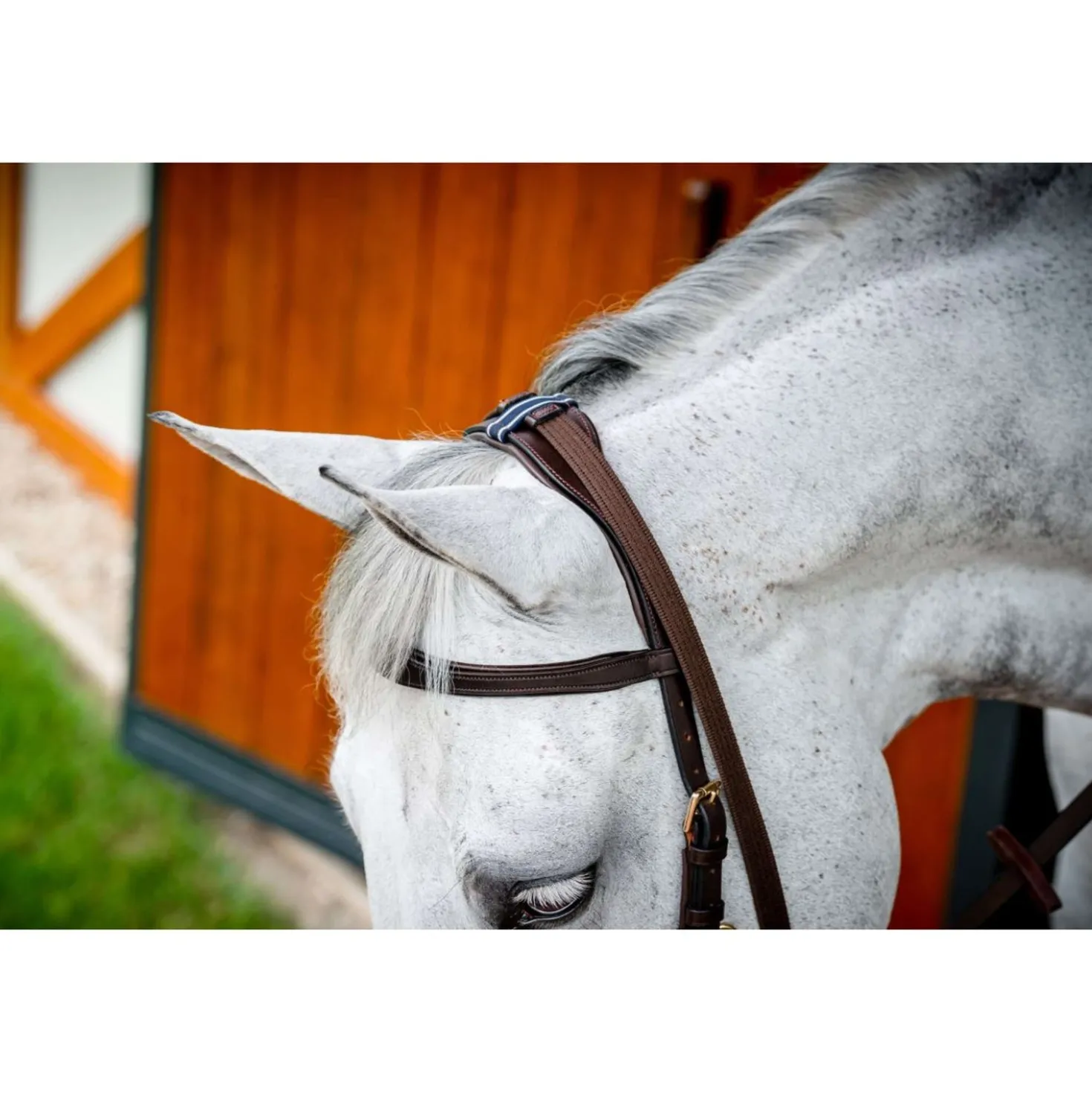 Horseware Micklem Multi Bridle New Dark Havana