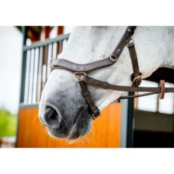 Horseware Micklem Multi Bridle New Dark Havana