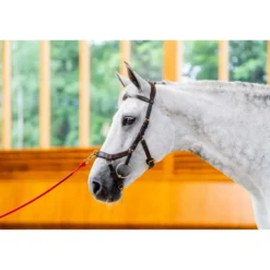 Horseware Micklem Multi Bridle New Dark Havana