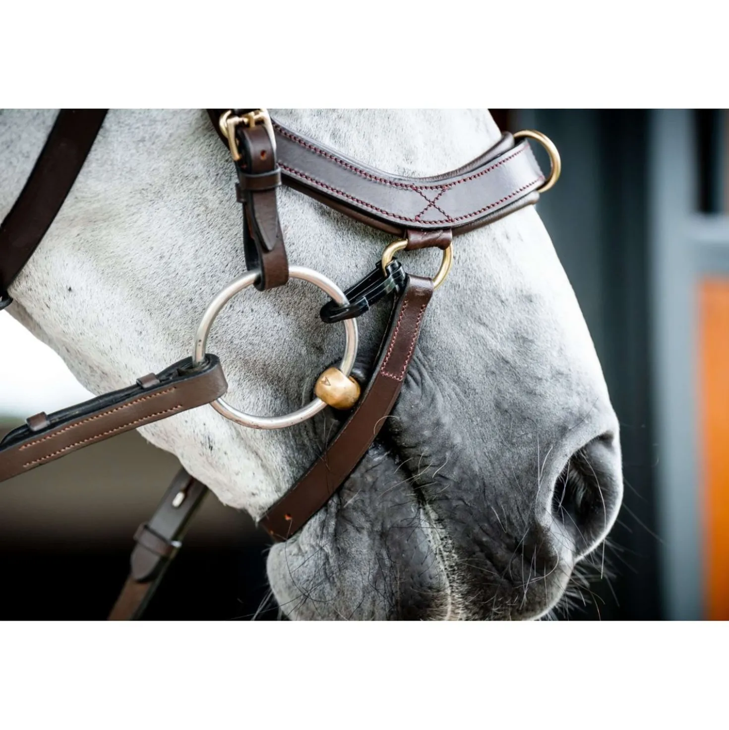 Horseware Micklem Multi Bridle New Dark Havana